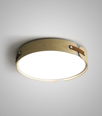 Потолочный светильник ImperiumLoft Range 195542-26