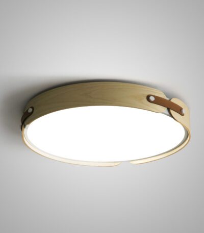 Потолочный светильник ImperiumLoft Range 195543-26