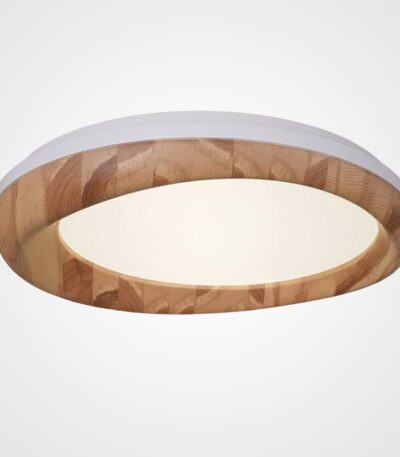 Потолочный светильник ImperiumLoft Runis 219477-26