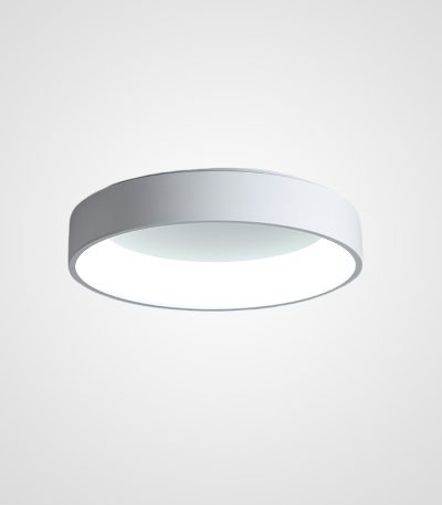 Потолочный светильник ImperiumLoft Tray 181884-26