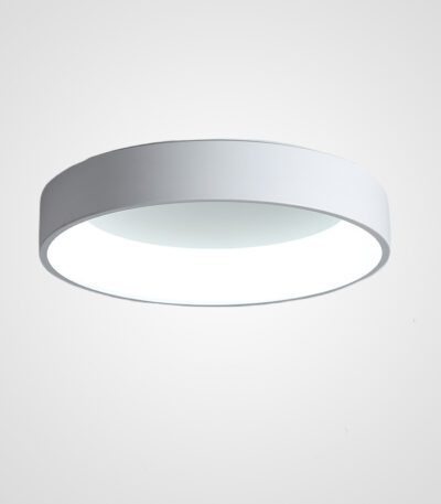 Потолочный светильник ImperiumLoft Tray 181888-26