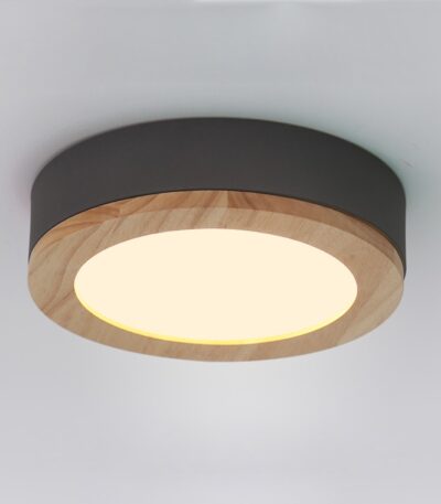 Потолочный светильник ImperiumLoft Wudda 179761-26