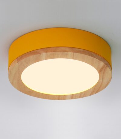 Потолочный светильник ImperiumLoft Wudda 179769-26