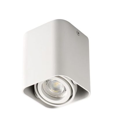 Потолочный светильник Kanlux Toleo DTL50-W 26114