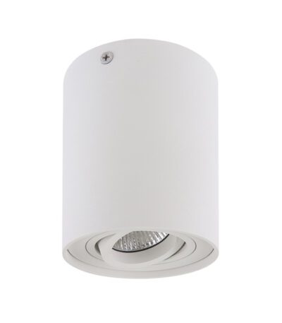 Потолочный светильник Lightstar Binoco 052016