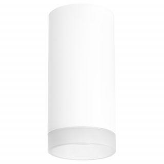 Потолочный светильник Lightstar RULLO R648680 (216486+202480)