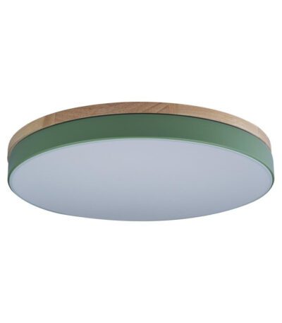 Потолочный светильник Loft IT AXEL 10001/36 Green