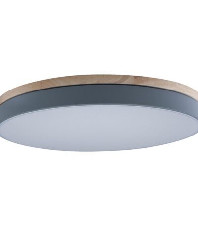 Потолочный светильник Loft IT AXEL 10001/36 Grey