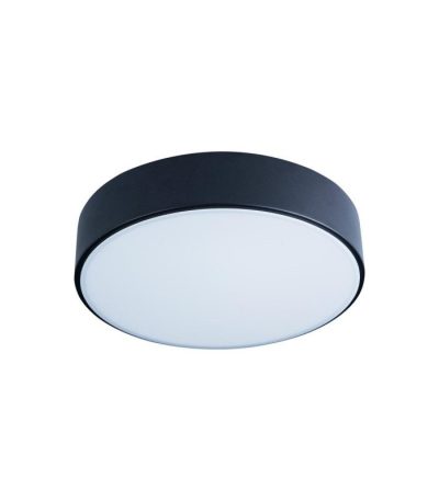 Потолочный светильник Loft IT AXEL 10002/12 Black