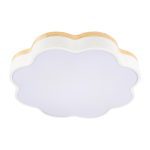 Потолочный светильник Loft IT Axel 10225/36 White