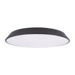 Потолочный светильник Loft IT Brim 10226 Black