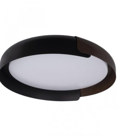 Потолочный светильник Loft IT Coin 10198 Black