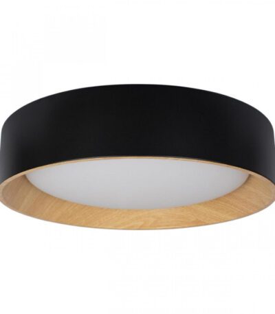 Потолочный светильник Loft IT Coin 10202 Black