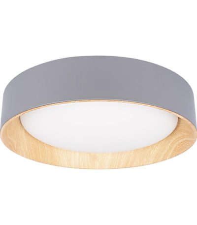 Потолочный светильник Loft IT Coin 10202 Grey