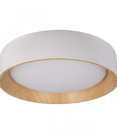 Потолочный светильник Loft IT Coin 10202 White