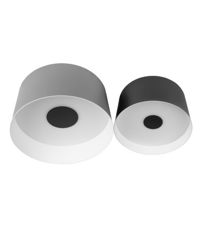 Потолочный светильник Loft IT Duo 10360/2