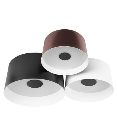 Потолочный светильник Loft IT Duo 10360/3