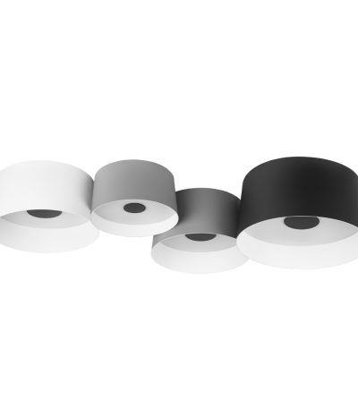 Потолочный светильник Loft IT Duo 10360/4