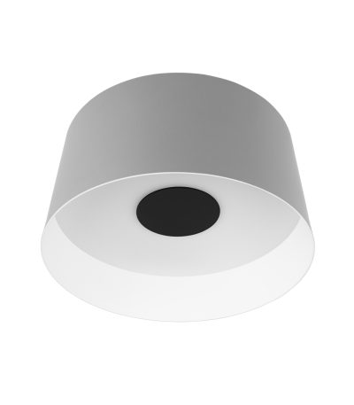 Потолочный светильник Loft IT Duo 10360M Grey