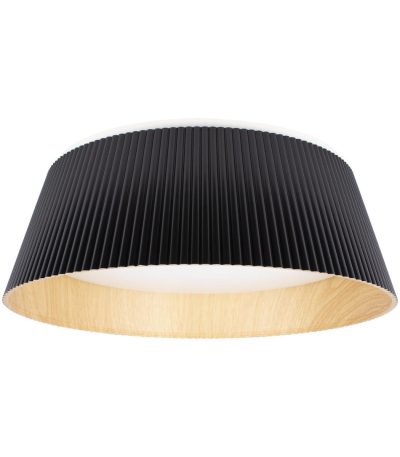 Потолочный светильник Loft IT Evans 10224 Black