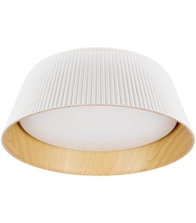 Потолочный светильник Loft IT Evans 10224 White