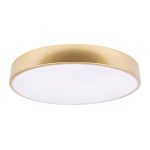 Потолочный светильник Loft IT Flims 10228/A