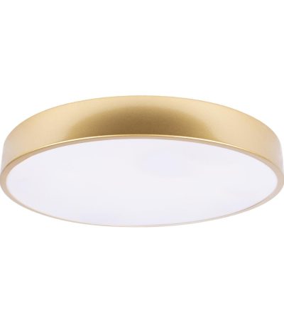 Потолочный светильник Loft IT Flims 10228/A