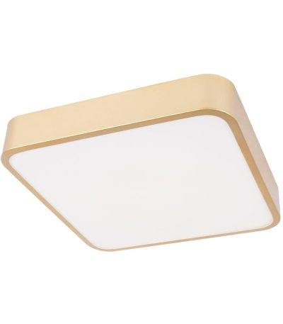 Потолочный светильник Loft IT Flims 10228/C