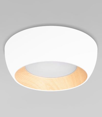 Потолочный светильник Loft IT Folk 10255/350 White