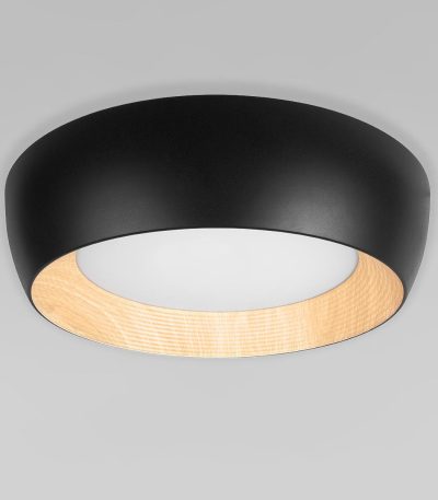 Потолочный светильник Loft IT Folk 10255/500 Black