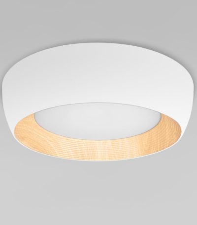 Потолочный светильник Loft IT Folk 10255/500 White