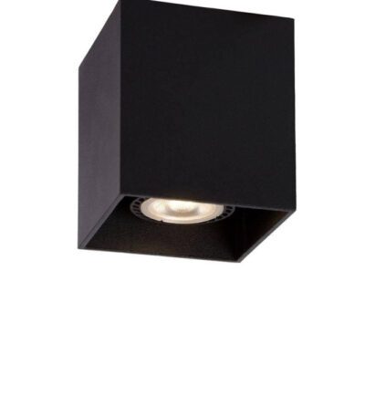 Потолочный светильник Lucide Bodi 09101/01/30