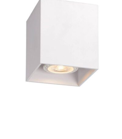 Потолочный светильник Lucide Bodi 09101/01/31