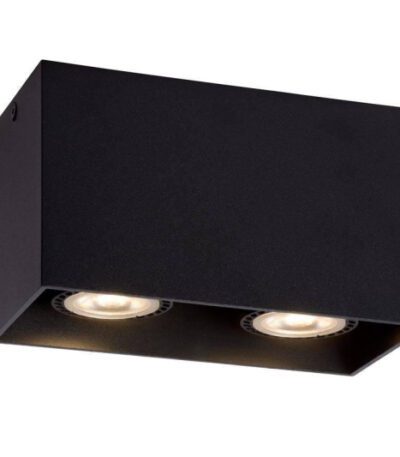 Потолочный светильник Lucide Bodi 09101/02/30