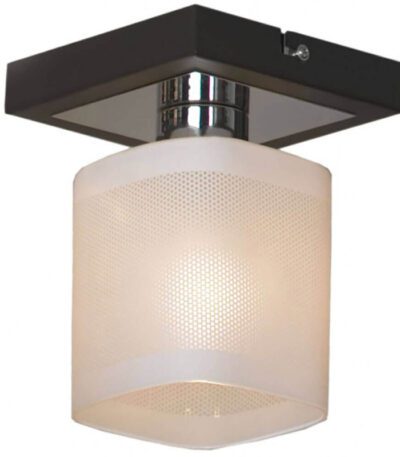 Потолочный светильник Lussole Costanzo GRLSL-9007-01