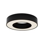 Потолочный светильник Maytoni Lua C093CL-24W3K-B