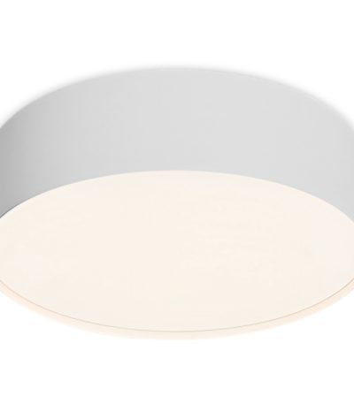 Потолочный светильник Maytoni Technical Ceiling Zon C032CL-24W4K-RD-W