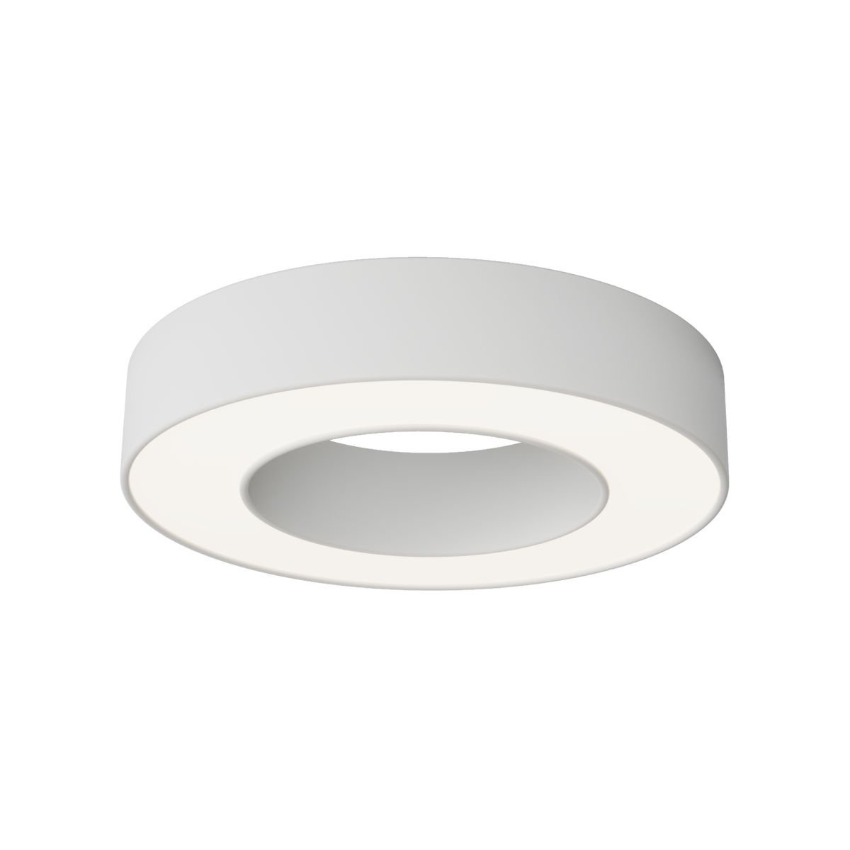 Потолочный светильник Maytoni Technical Lua C093CL-24W4K-W Потолочный светильник Maytoni Technical Lua C093CL-24W4K-W