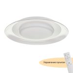 Потолочный светильник Myfar Naiad MR9060-CL