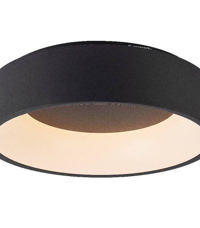 Потолочный светильник Myfar Shannon MR2193-1PL