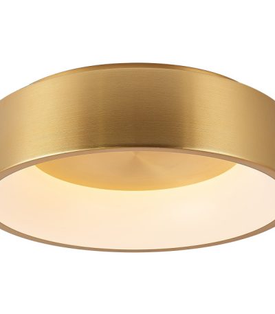 Потолочный светильник Myfar Shannon MR2195-1PL