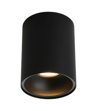 Потолочный светильник Omnilux Cariano OML-101219-01