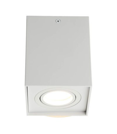 Потолочный светильник Omnilux Feletto OML-101109-01