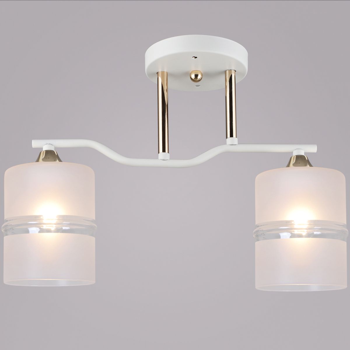 Потолочный светильник Reluce 02283-0.3-02 WT+FGD Потолочный светильник Reluce 02283-0.3-02 WT+FGD