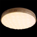 Потолочный светильник Reluce 60530-0.2-60W