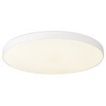 Потолочный светильник Simple Story 1204-LED48CL