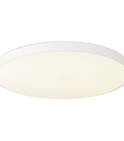 Потолочный светильник Simple Story 1204-LED48CL