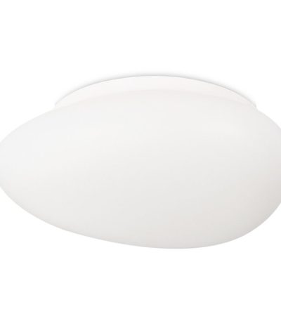 Потолочный светильник Simple Story 1205-LED12CL