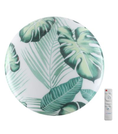 Потолочный светильник Sonex Pale Flori 7748/EL