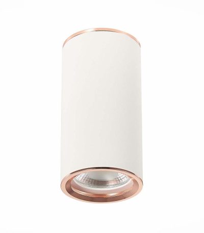 Потолочный светильник ST Luce Chomus ST111.527.01